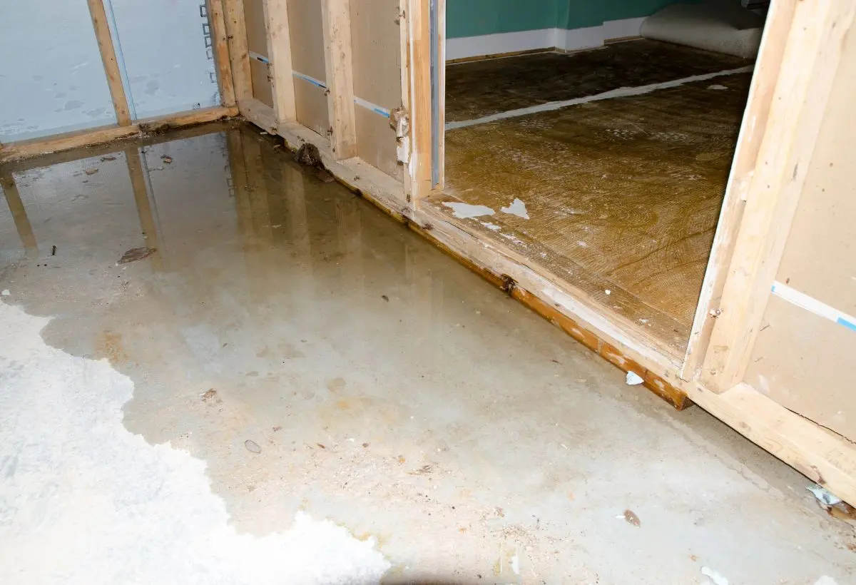 What to Do When Your Basement Drain Is Clogged