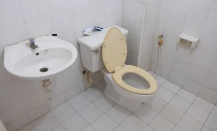Outdated Toilet Design