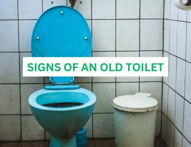 Old Toilet